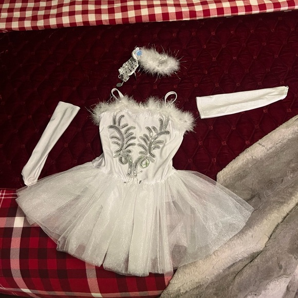 Swan Lake Ballet Dress - Picture 2 of 6